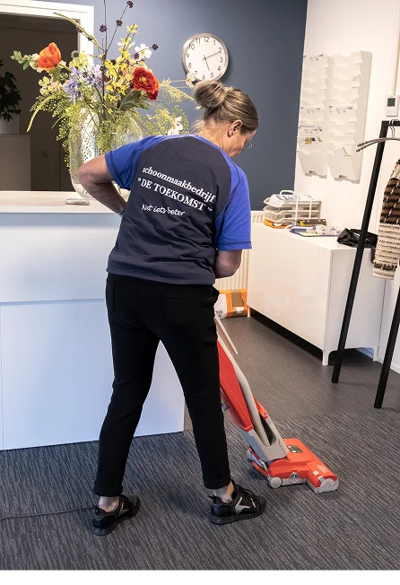 Schoonmaak onderhoud